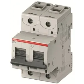 ABB 2CCS862001R1405 S802S-UCB40 Sicherung 2polig