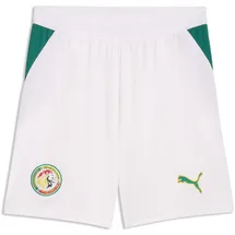 Puma Senegal Shorts Regular Weiß XXL