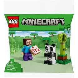 LEGO Minecraft 30672