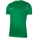 Nike Dry Park 20 T-Shirt pine green/white S