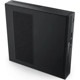 Lenovo ThinkCentre V100q N100 2023 8 GB RAM 256 GB SSD Linux