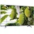 55T8C 55 Zoll QLED 4K Google TV