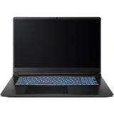 Captiva Advanced Gaming I94-282GE 17,3'' Intel Core i7-13620H 16 GB RAM 1 TB SSD RTX 5050 Win11 Pro