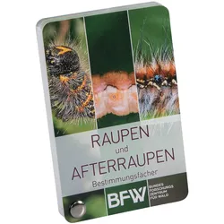 Bestimmungsfächer - Raupen und Afterraupen