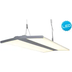 LED Pendelleuchte NÄVE Lampen grau BüroArbeitszimmer Farbe Lichtfarbe neutralweiß L: 80cm B: 30cm