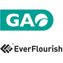 EverFlourish Schutzkontaktsteckdose 2-fach Aufputz, mit Berührungsschutz - Grau