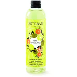 Land der Zitrusfrüchte Nachfüller für Bukett 250ml