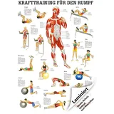 Mini-Poster "Krafttraining Rumpf", Muskelaufbau, Fitness, Bodybuilding, 34x24 cm, Laminiert