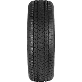 GRIPMAX SureGrip eWinter 225/55 R17 101V XL