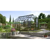 Vitavia Gewächshaus Jupiter 9900 Schwarz 9,9 m2 inkl. Fundament