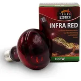 Terra Exotica Infra Red Rotlichtlampe für Reptilien - Infrarot Terrarium Wärmelampe für Eidechsen, Schildkröten, Vogelspinnen, Küken, Kaninchen (100 Watt, 1, stück)