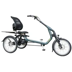 Vanraam Easy Rider HT E-Dreirad (Modell 1)