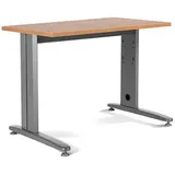 Rocada Schreibtisch Eiche grau