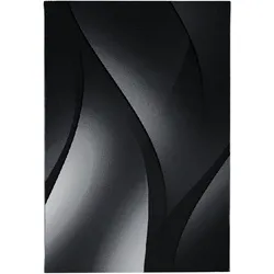 Teppich Kurzflor Ombre-Verlauf Polypropylen Wohnzimmer Schwarz Rechteckig 280x370 | Kadima Design