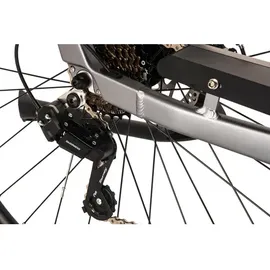 ADORE CX-660 28 Zoll RH 48 cm Unisex grau matt