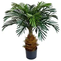 Seidenblumen Roß Cycaspalme 80cm im Topf DA Kunstpalmen Dekopalme