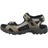 ECCO Yucatan Herren vetiver/wild dove 40