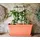 Gusta Garden CHILI BUDDY Rankhilfe 3er Set