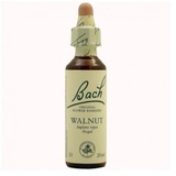 Walnut Bachblüten 20 ml Original Bachblüten