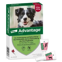 Advantage Spot-On für Hunde von 10 bis 25 kg Körpergewicht
