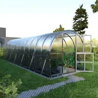 meistro kodas Klasika Gewächshaus verzinkt Transparent HKP 6 mm 24 m2