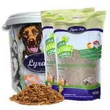 Lyra Pet® | 5 kg Soldatenfliegenlarven + 30 L Tonne | Black Soldier Fly | Hermetia Illucens | Wie Mehlwürmer | Reich an Kalzium & Proteinen | Energiereiches Futter für Vögel, Fische, Nager & Reptilien