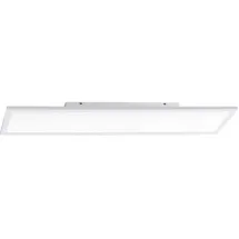 just light. LOLAsmart-FLAT 14682-16