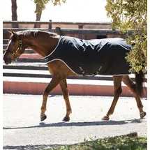 Horseware Ireland Führanlagendecke 200g Walker Rug M (130-140 cm) Schwarz/Silber