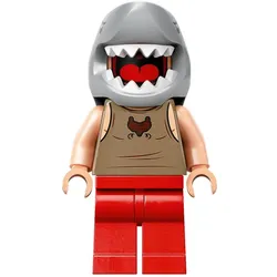 LEGO® - Harry Potter - hp414 - Viktor Krum (76420)