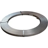 Obermoser Erdungsband 30x3,5 V4A 50Kg