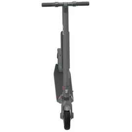 Segway Ninebot E45D E-Scooter (9 Zoll, Grau)