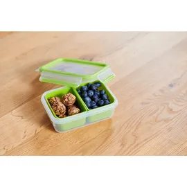 Emsa Snackbox Clip & Go grün 1,0 l