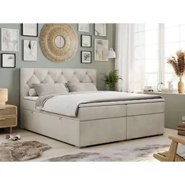 MKS Boxspringbett 160 x 200 cm H4 Beige