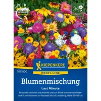 Kiepenkerl Blumensamen Last Minute', Alpenveilchen - Narzissen, rosa - gelb
