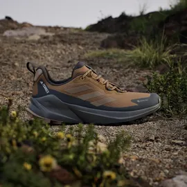 adidas Terrex Trailmaker 2 GTX Herren Bronze Strata/Blanch Cargo/Carbon 43 1/3