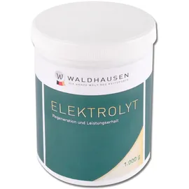 Waldhausen Elektrolyt Pulver 1 kg