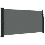 furnicato Seitenmarkise 100 x 300 cm Schwarz Aluminium