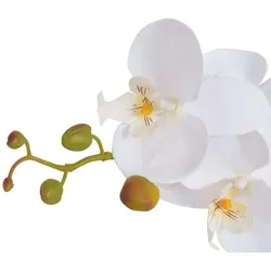 vidaXL Künstliche Orchidee mit Topf 65 cm Weiß