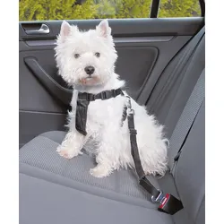 Auto Geschirr Basic für Hunde