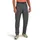 Icebreaker Merino Elevation Stretch Hosen Grau 30