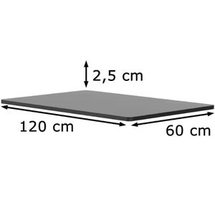 FlexiSpot Tischplatte schwarz rechteckig abgerundet 120,0 cm 60,0 cm