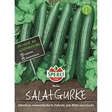 Sperli Gurke Salatgurke Bella F1 rein weiblich