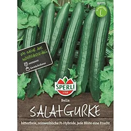 Sperli Gurke Salatgurke Bella F1 rein weiblich
