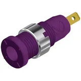 HIRSCHMANN TEST & MEASUREMENT MSEB 2610 F 2,8 Au Sicherheits-Laborbuchse Buchse, Einbau vertikal Stift-Ø: 2mm Violett