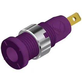 HIRSCHMANN TEST & MEASUREMENT MSEB 2610 F 2,8 Au Sicherheits-Laborbuchse Buchse, Einbau vertikal Stift-Ø: 2mm Violett