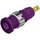HIRSCHMANN TEST & MEASUREMENT MSEB 2610 F 2,8 Au Sicherheits-Laborbuchse Buchse, Einbau vertikal Stift-Ø: 2mm Violett