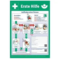 Erste-Hilfe-Plan n.DGUV Information 204-001 L410xB590mm Ku.