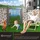 Kesser Gartentor Premium 80 x 106 cm Anthrazit