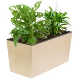 Blumenkübel Blumentopf Rattan Trapez Creme Beton Struktur H 19,5 cm 12 L