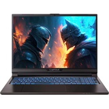 Captiva Advanced Gaming I76-015 Core i9-13900HX, 16GB RAM, 1TB SSD, GeForce RTX 4060, DE (76015)